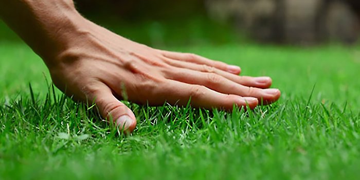start lawn care landscaping business