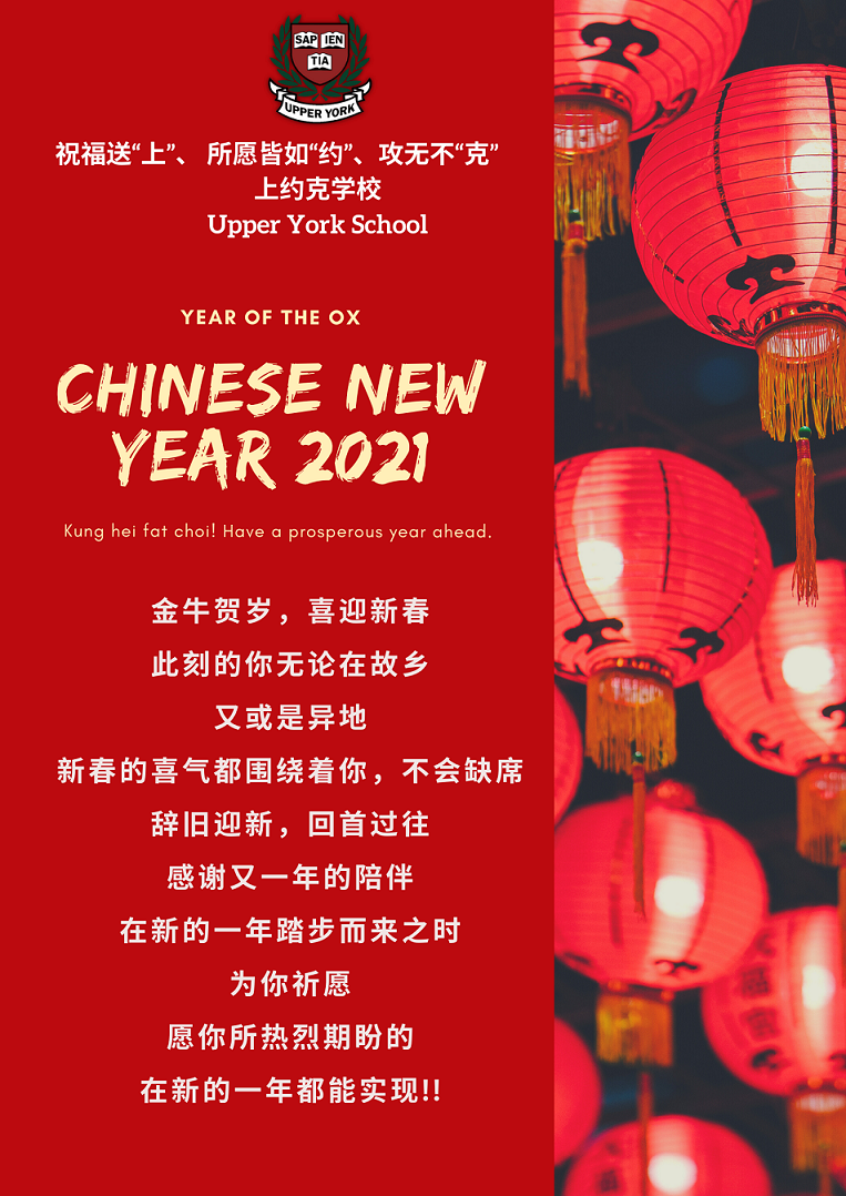 Chinese New Year Poster 11